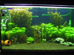 My lover aquarium