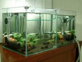 simtank_01