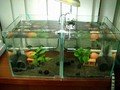 simtank_04