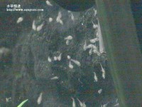 011025-05